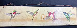 Four Kinds of Hummingbirds