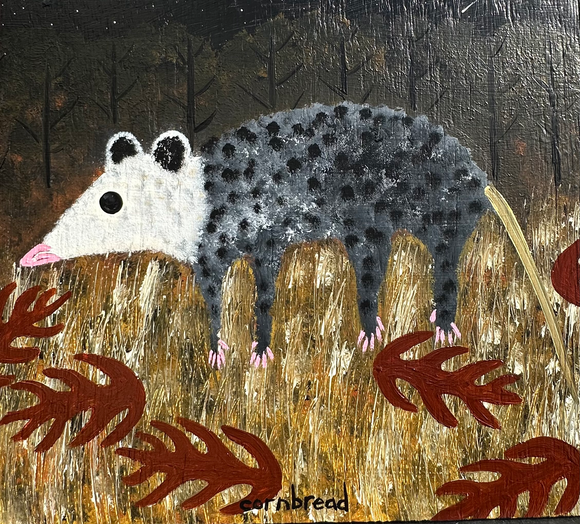 Opossum Under the Stars