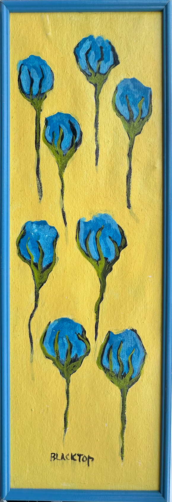 Blue Cotton