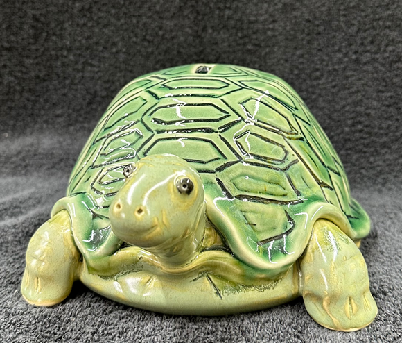 Green Turtle Bank