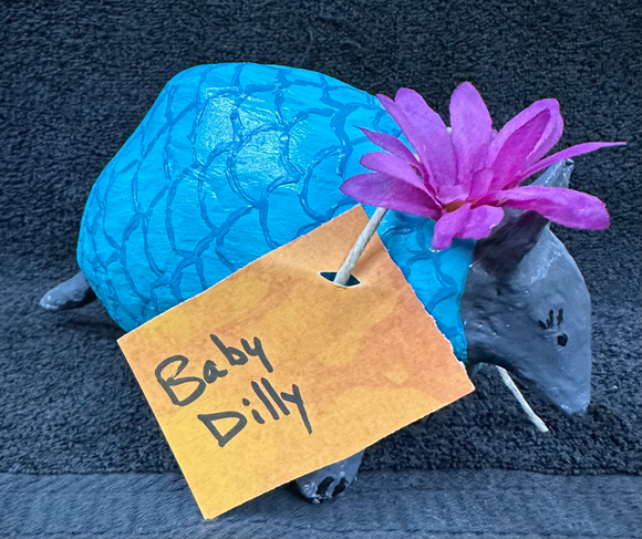 Baby Dilly the Armadillo