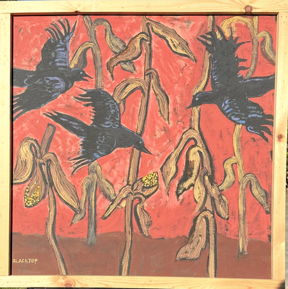 Crows Flying in the Corn