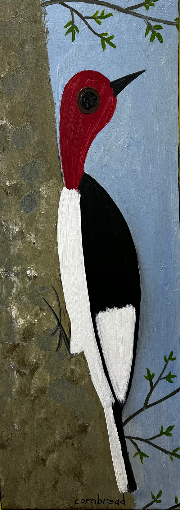 Red Headed Woodpecker on a Pecan
