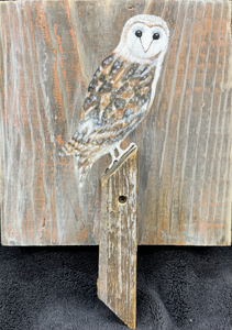 Owl on a Fence Post