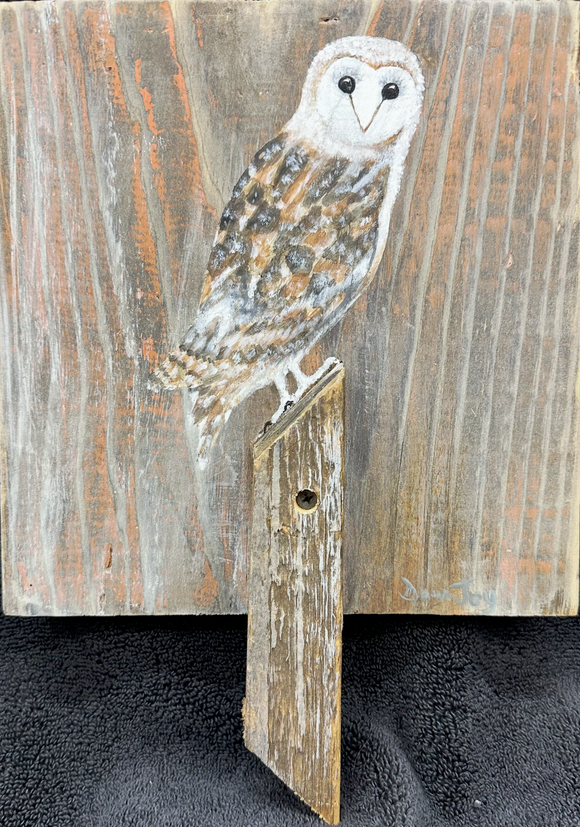 Owl on a Fence Post