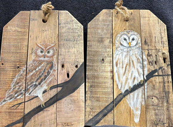 A Pair of Owls on a Limb