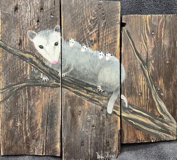 Mama Opossum and Babies