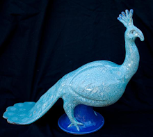 “Peacock”
