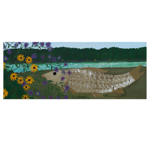 Grass Carp