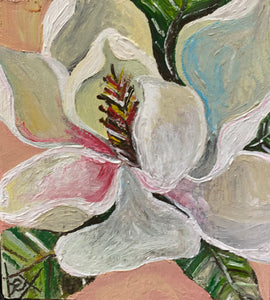 Southern Magnolia Blossom