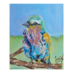 "Lilic Breasted Roller"