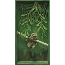 "Coon on a Limb" in a Wooden Shadow Box